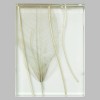 夾植物玻璃、藝術(shù)玻璃