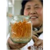 【蟲草瓶，蟲草培養(yǎng)瓶，種植蟲草的罐頭瓶，北蟲草瓶】