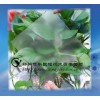 無手?。ㄓ裆埃┎Ａ缮胺?-豫科