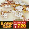 酒店裝飾藝術(shù)玻璃精選之作背景墻屏風(fēng)玄關(guān)隔斷超低價定做