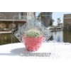 優(yōu)質(zhì)蒙砂膏（適用于水晶玻璃、藝術(shù)燈具、燈片等）