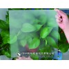 無手?。ㄞk公桌面）專用蒙砂粉
